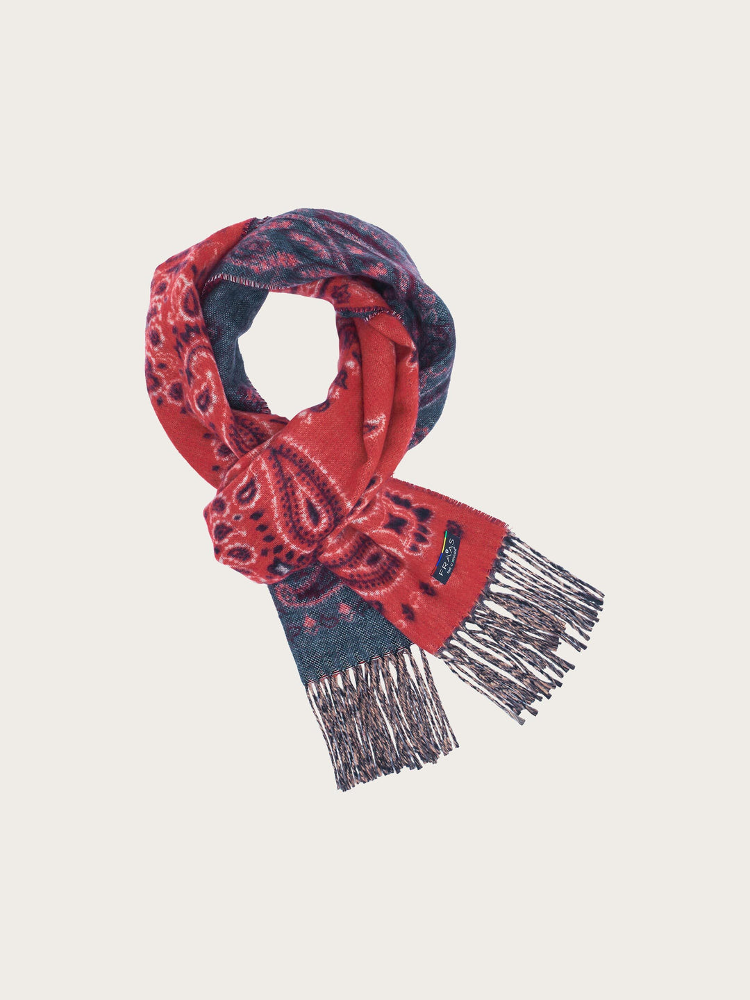 Doubleface Cashmink-Schal mit Paisley-Design