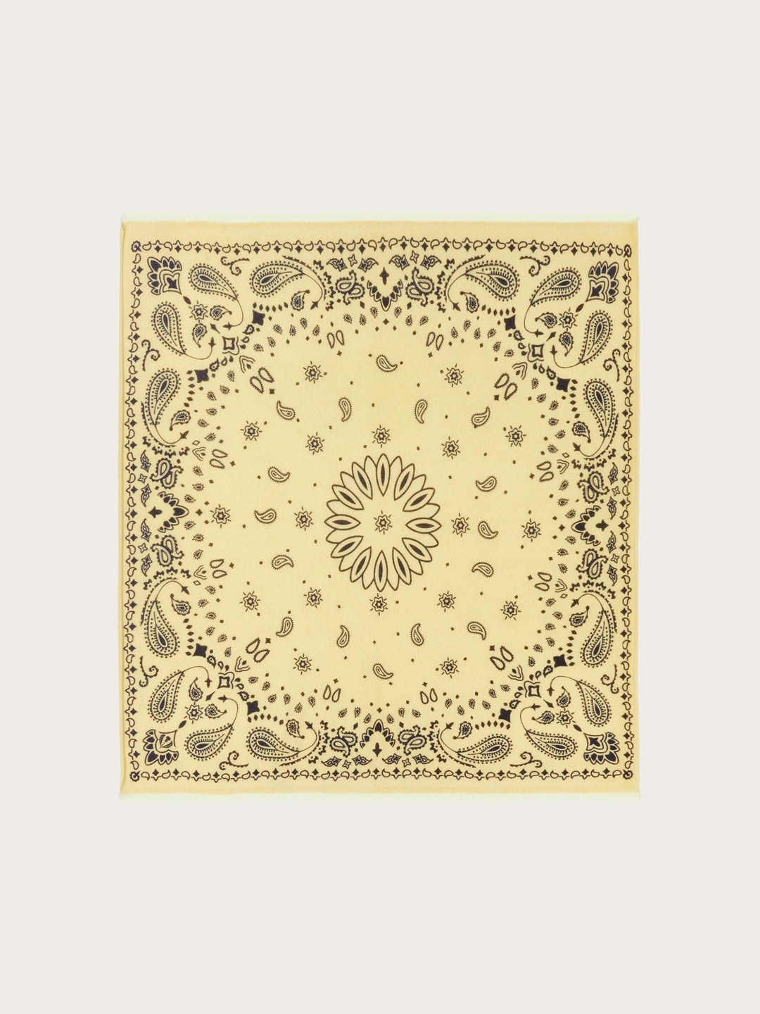 Kaschmir-Tuch mit Paisley-Design