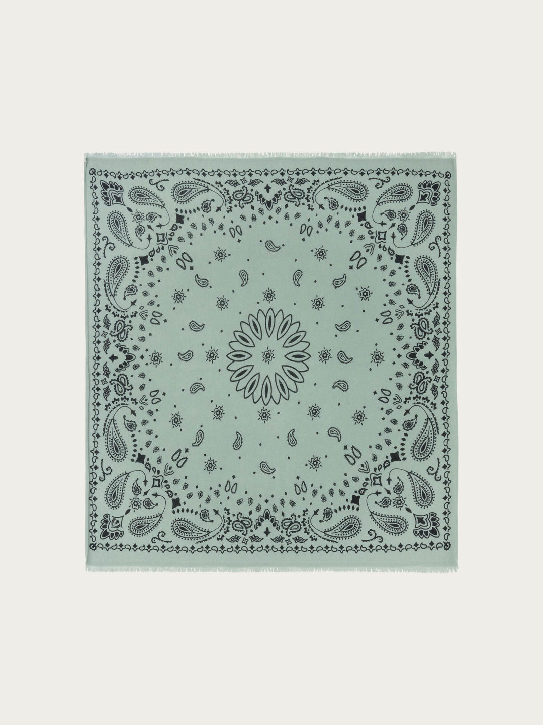 Kaschmir-Tuch mit Paisley-Design