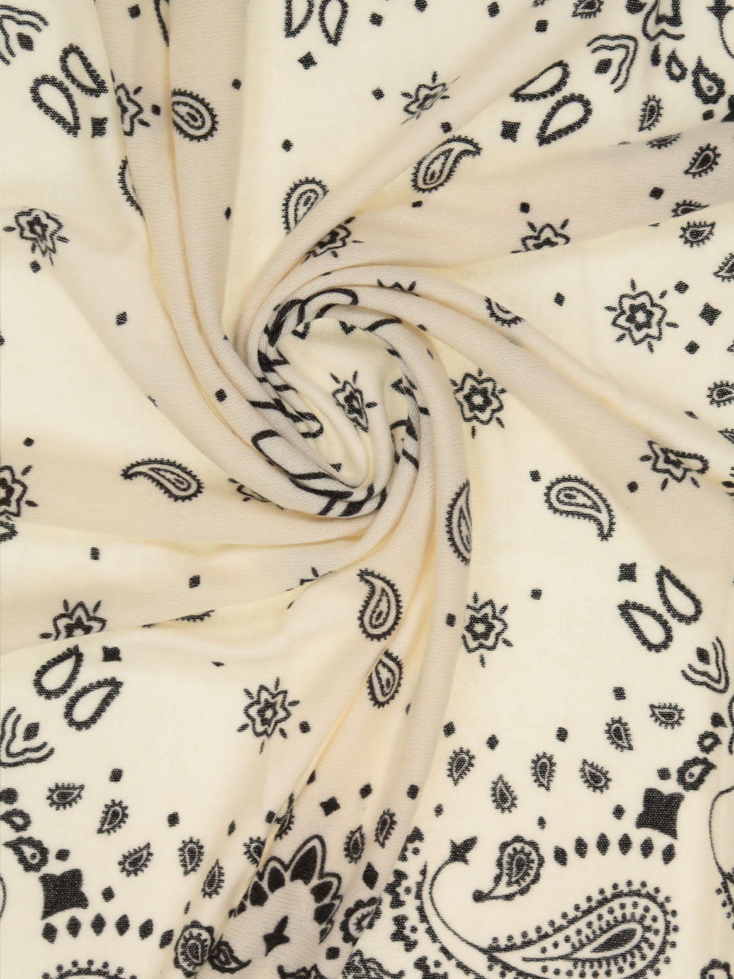 Nahaufnahme des Kaschmir-Tuchs mit Paisley-Design 684331.