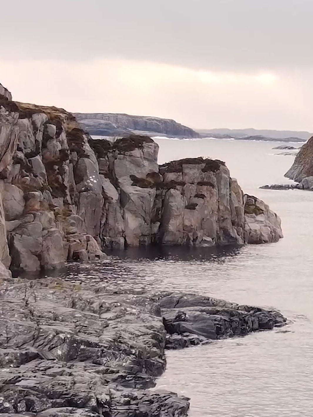 Foto kahler und moosbewachsener Felsen, die ins Meer reichen