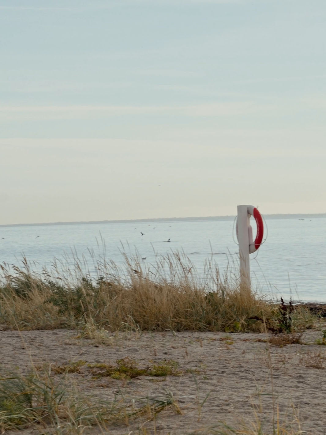 Blick über eine Düne aufs Meer.