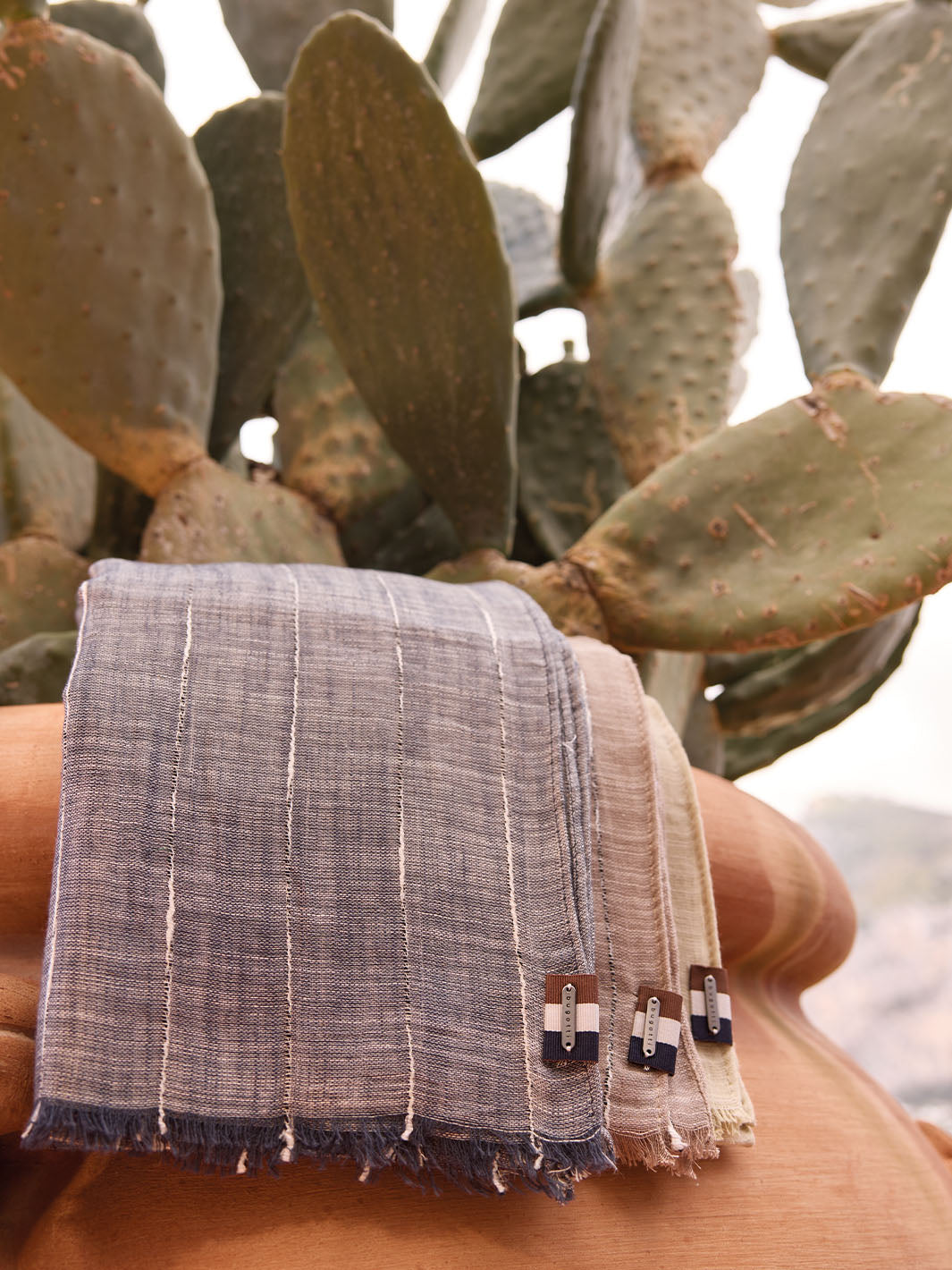 drei bugatti Schal hängen zusammengefaltet über dem Rand eines großen Blumentopfs mit Kakteen.