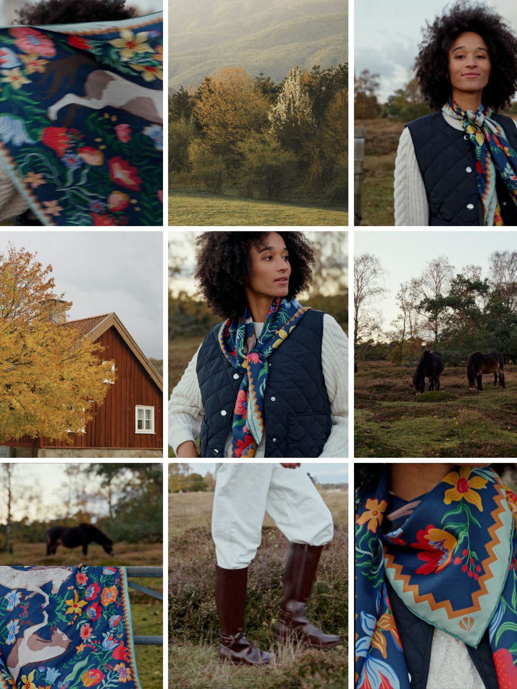 Zusammenstellung verschiedener herbstlicher Fotos mit und ohne junge Frau